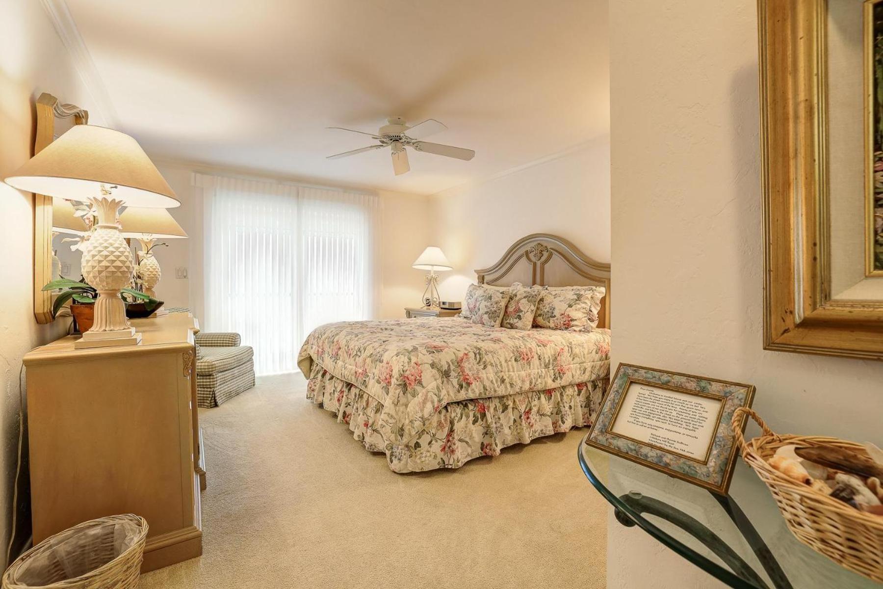 Sanddollar #B302 photo 20