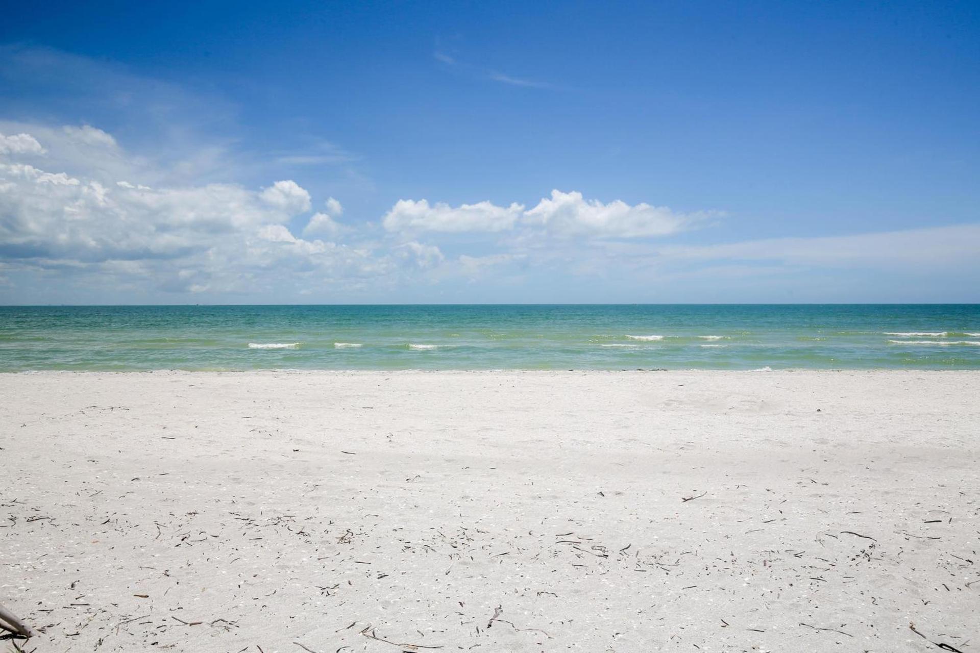 Sanddollar #B302 photo 31