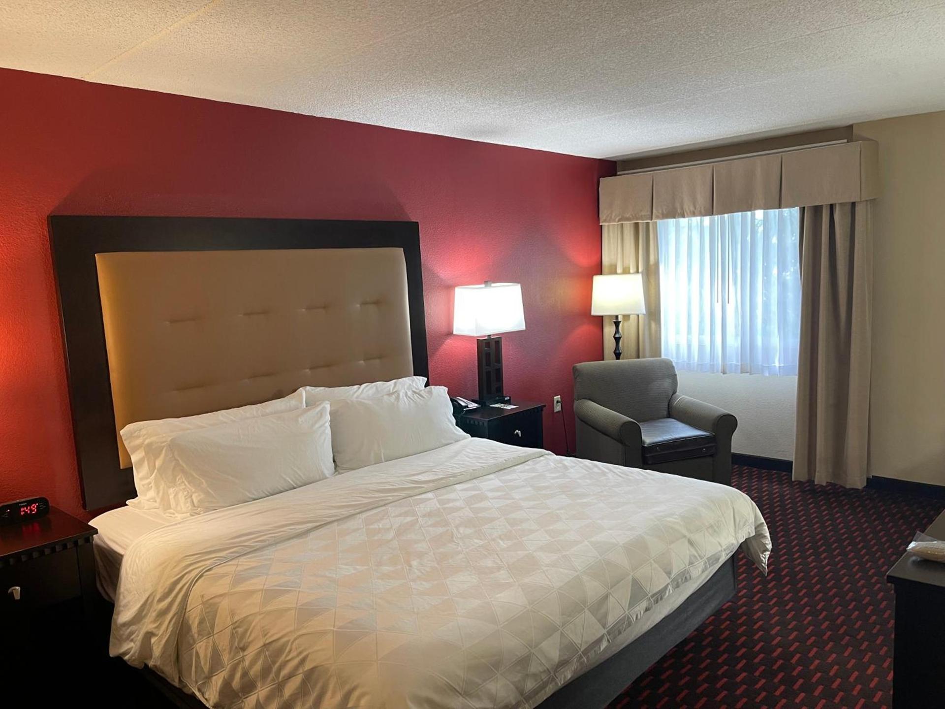 Wyndham Garden Dover photo 22