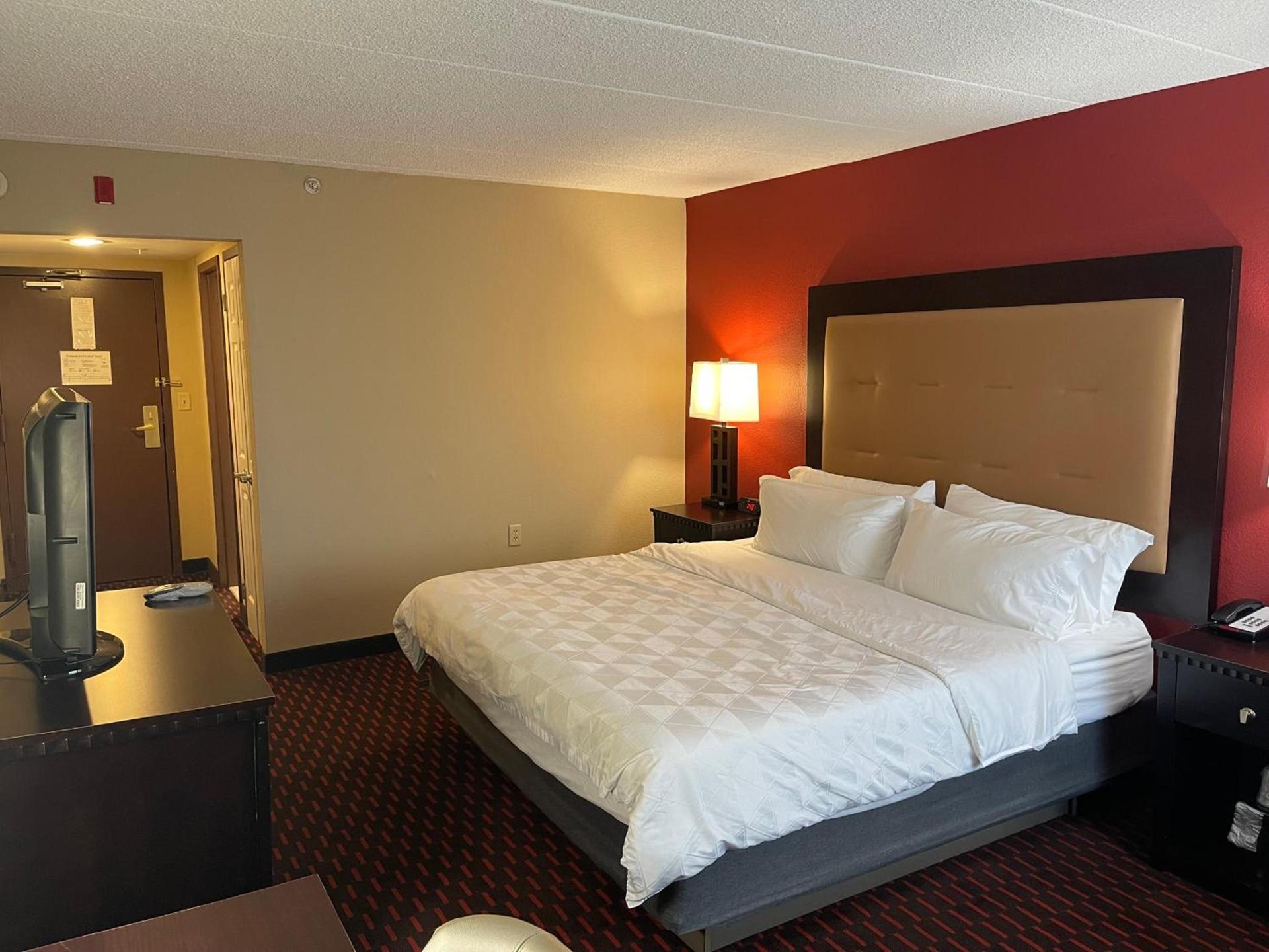 Wyndham Garden Dover photo 19