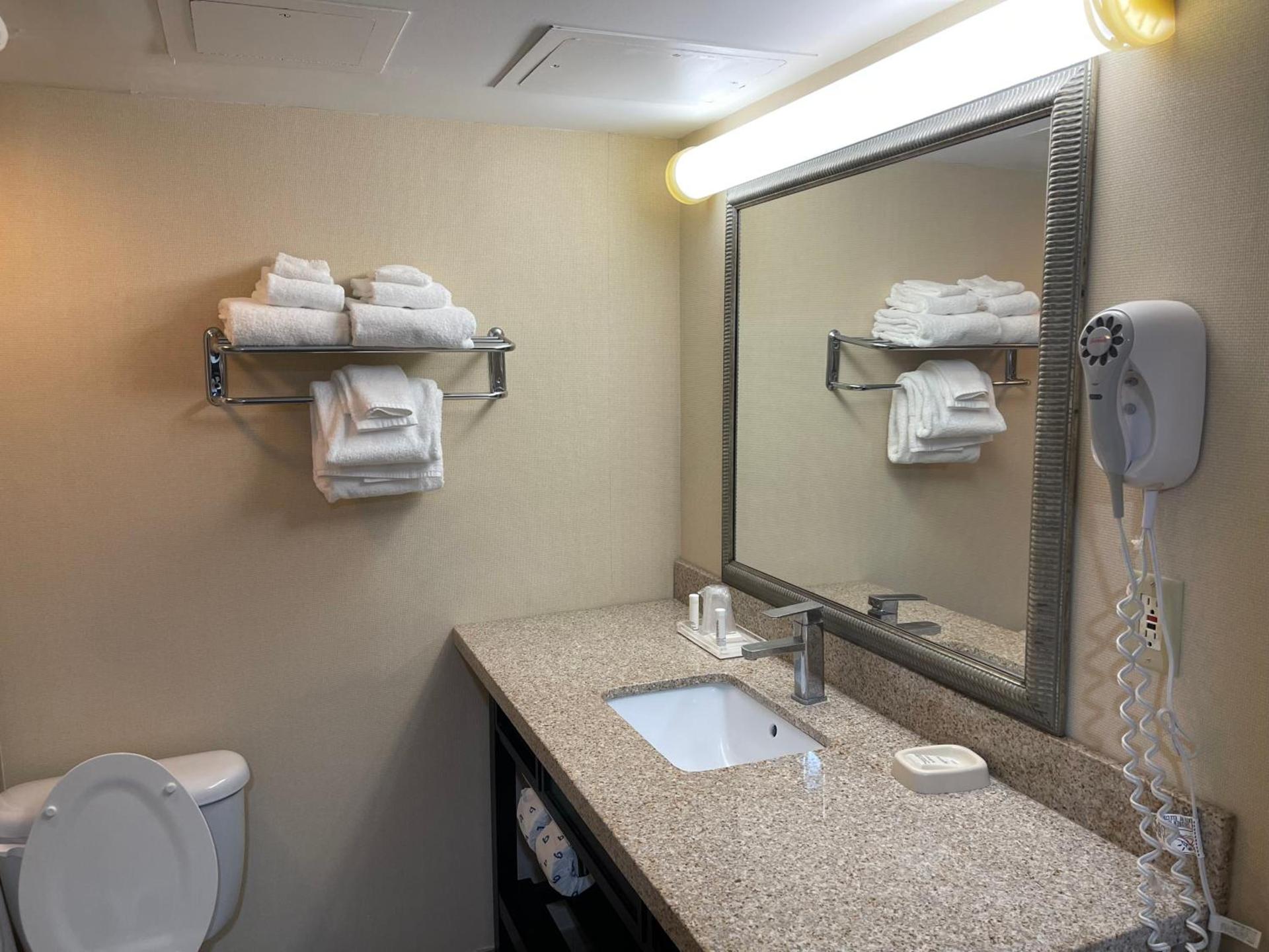 Wyndham Garden Dover photo 16