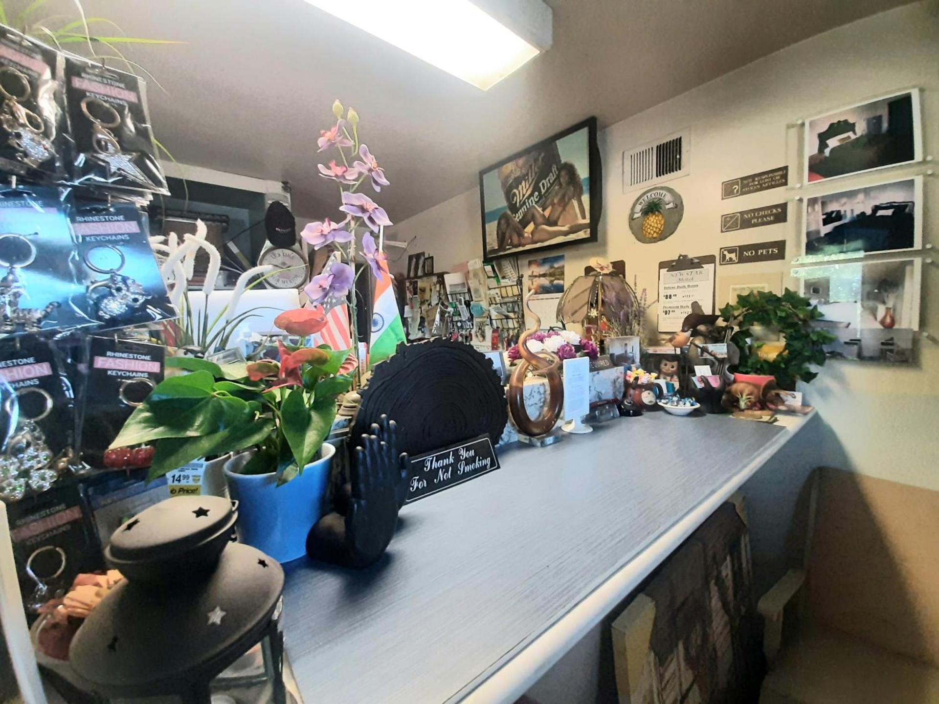 HARRY'S MAN CAVE - A Vintage Motel on the Historic 395 route - The New Star Motel Experience photo 4