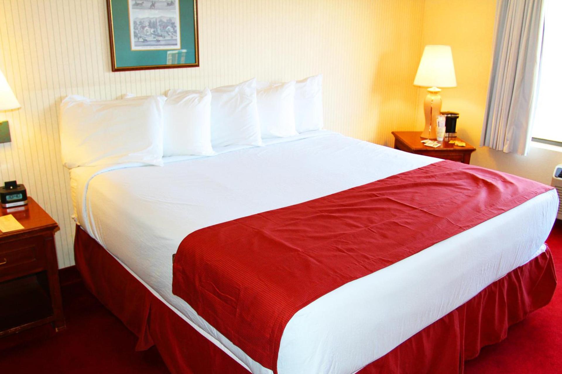 Hoover Dam Lodge photo 17