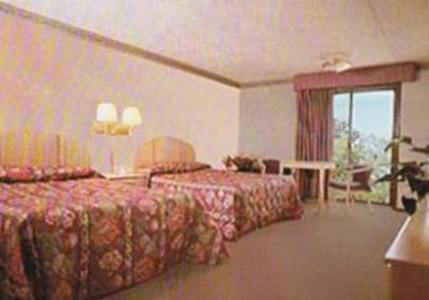 Chateau Royale Inn photo 5