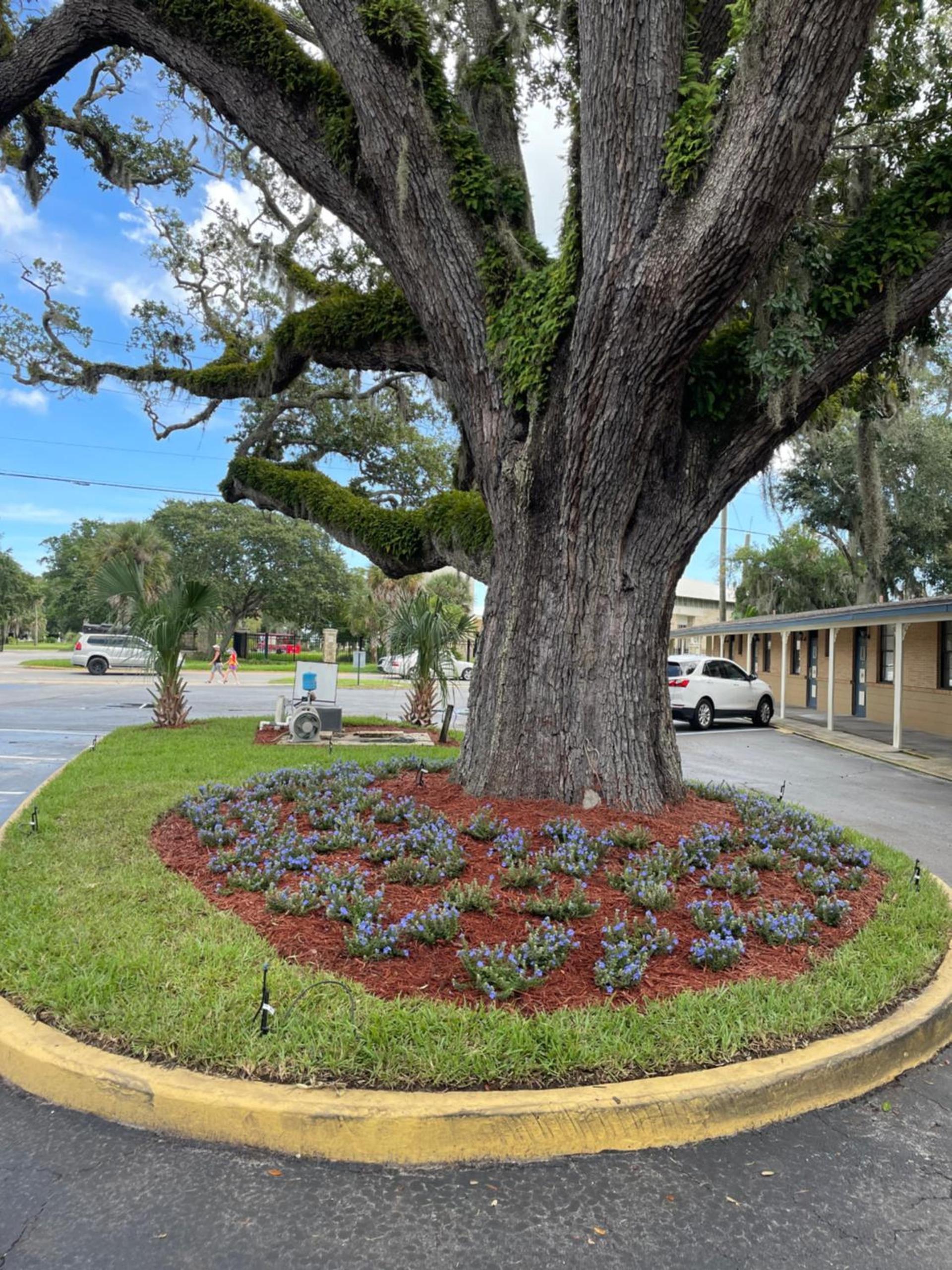 Castillo Inn photo 12