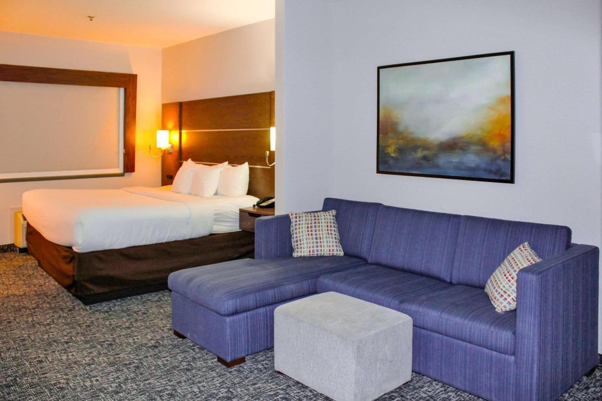Comfort Inn & Suites Near Lake Guntersville photo 13