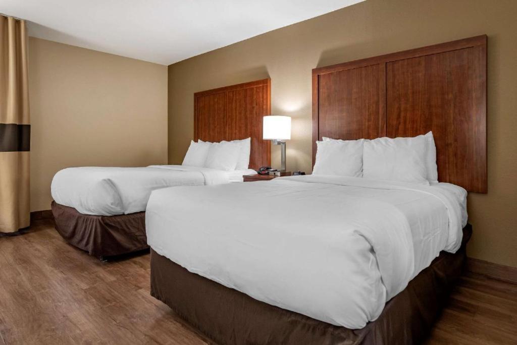 Comfort Inn Birmingham Homewood photo 35