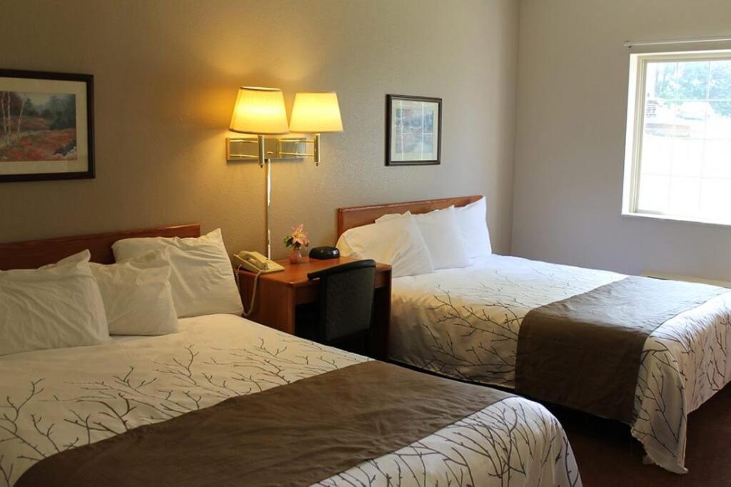 Edmore Inn photo 36