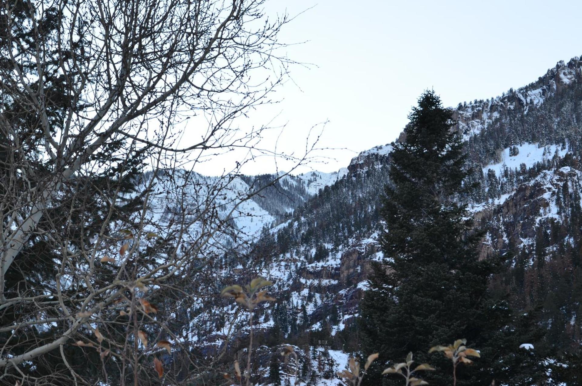 The Ouray Main Street Inn photo 21