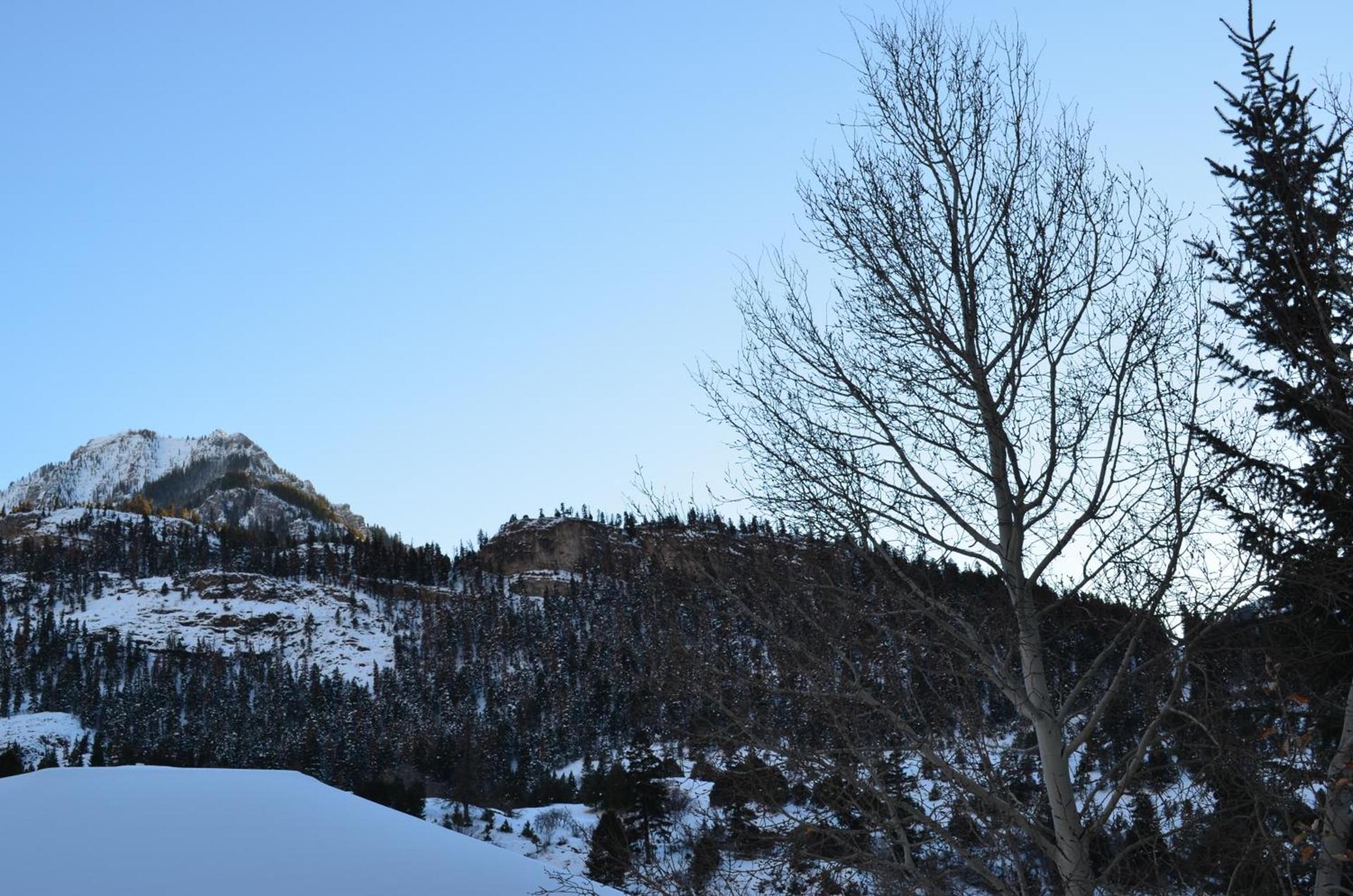 The Ouray Main Street Inn photo 22