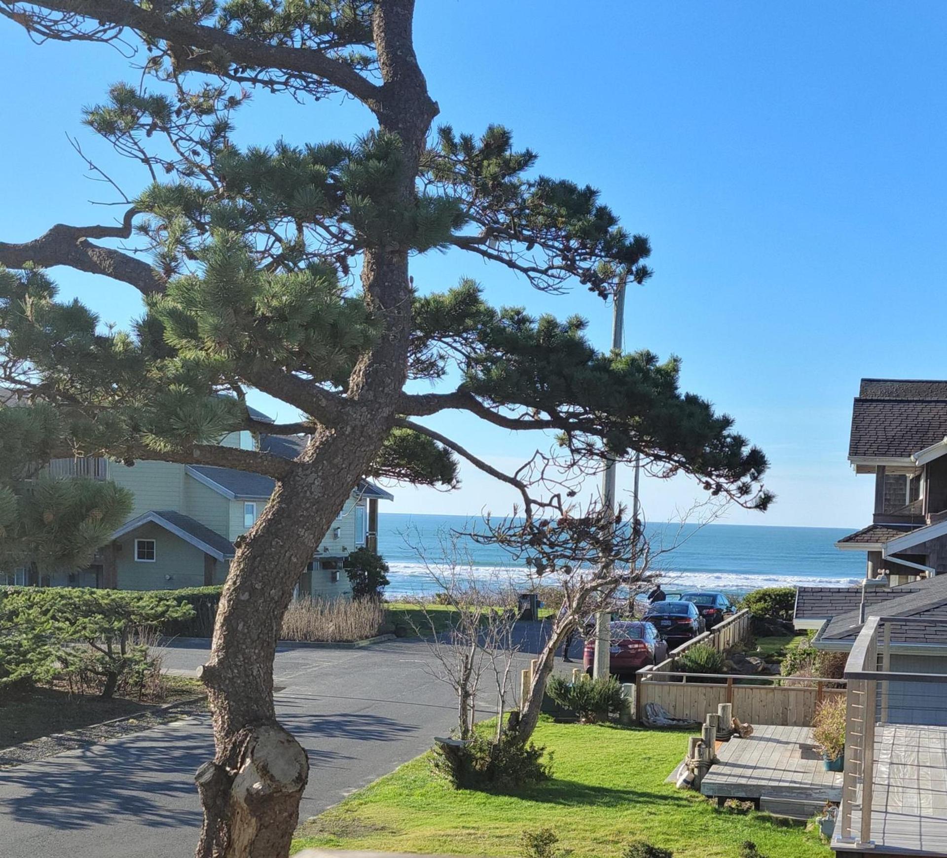 Cannon Beach Hotel Collection photo 19