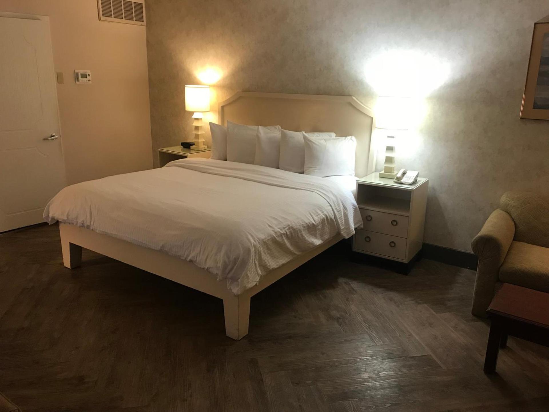 Hollywood Hotel photo 35