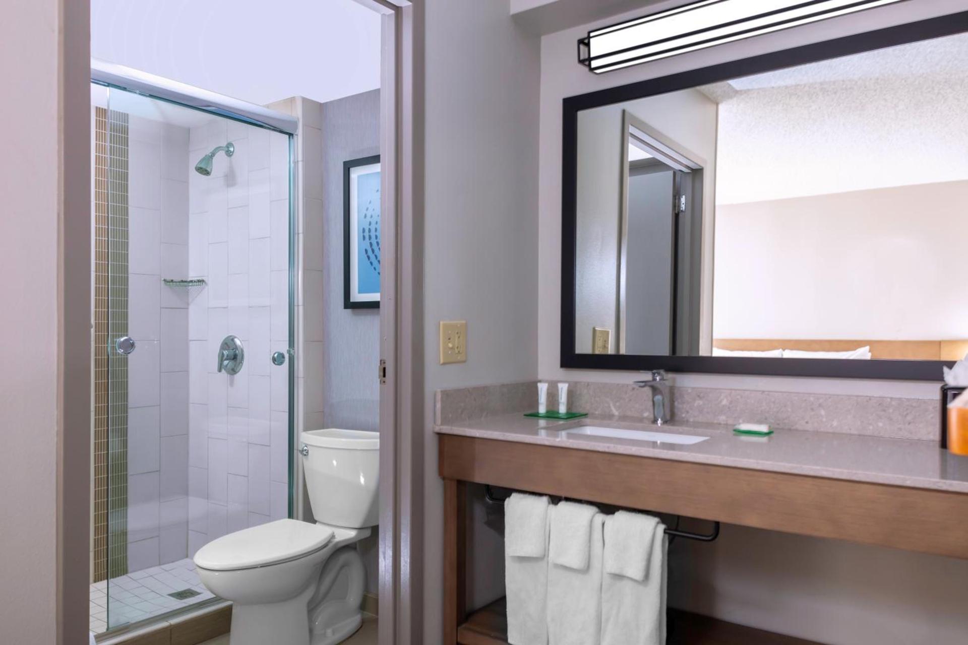 Hyatt Place-Dallas/Arlington photo 25
