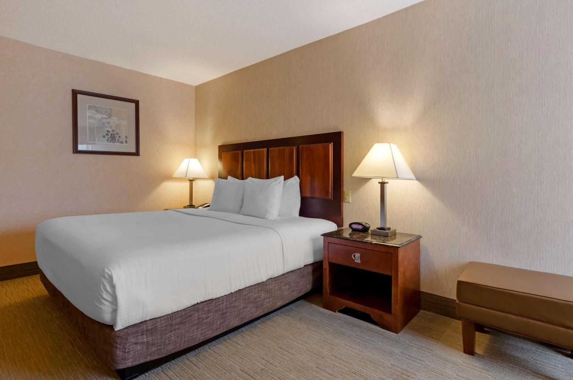 Spark By Hilton Staunton photo 5