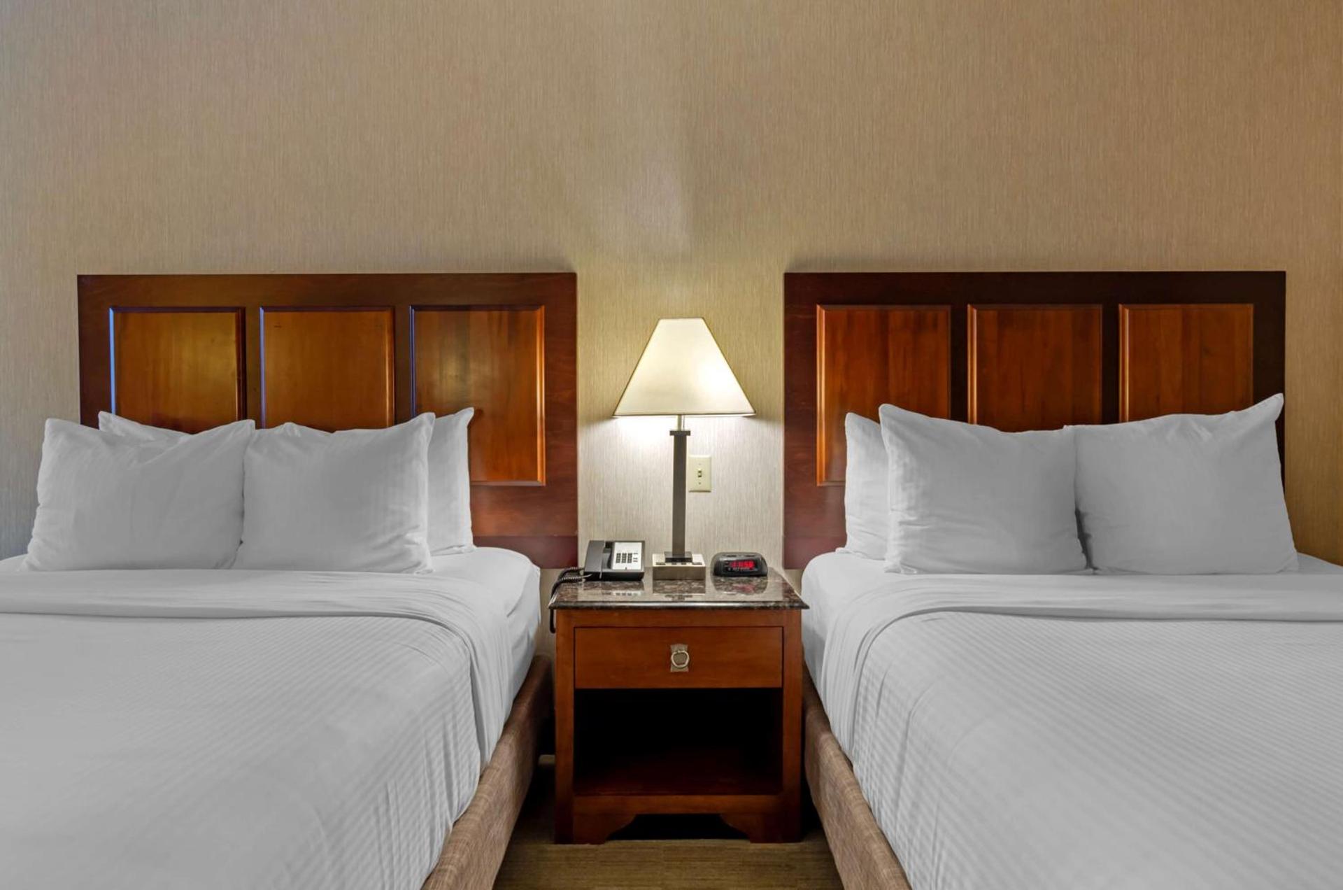 Spark By Hilton Staunton photo 14