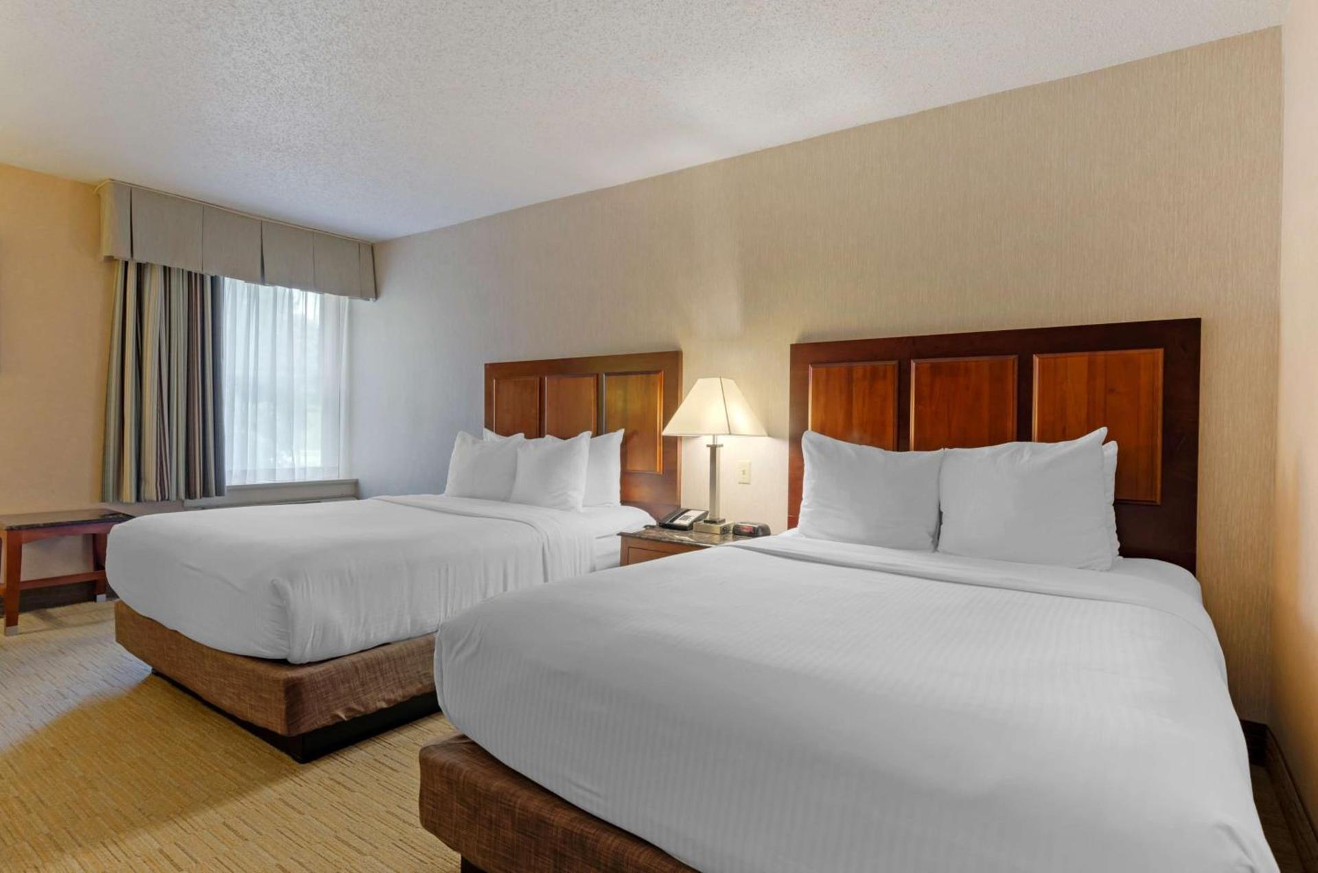 Spark By Hilton Staunton photo 15