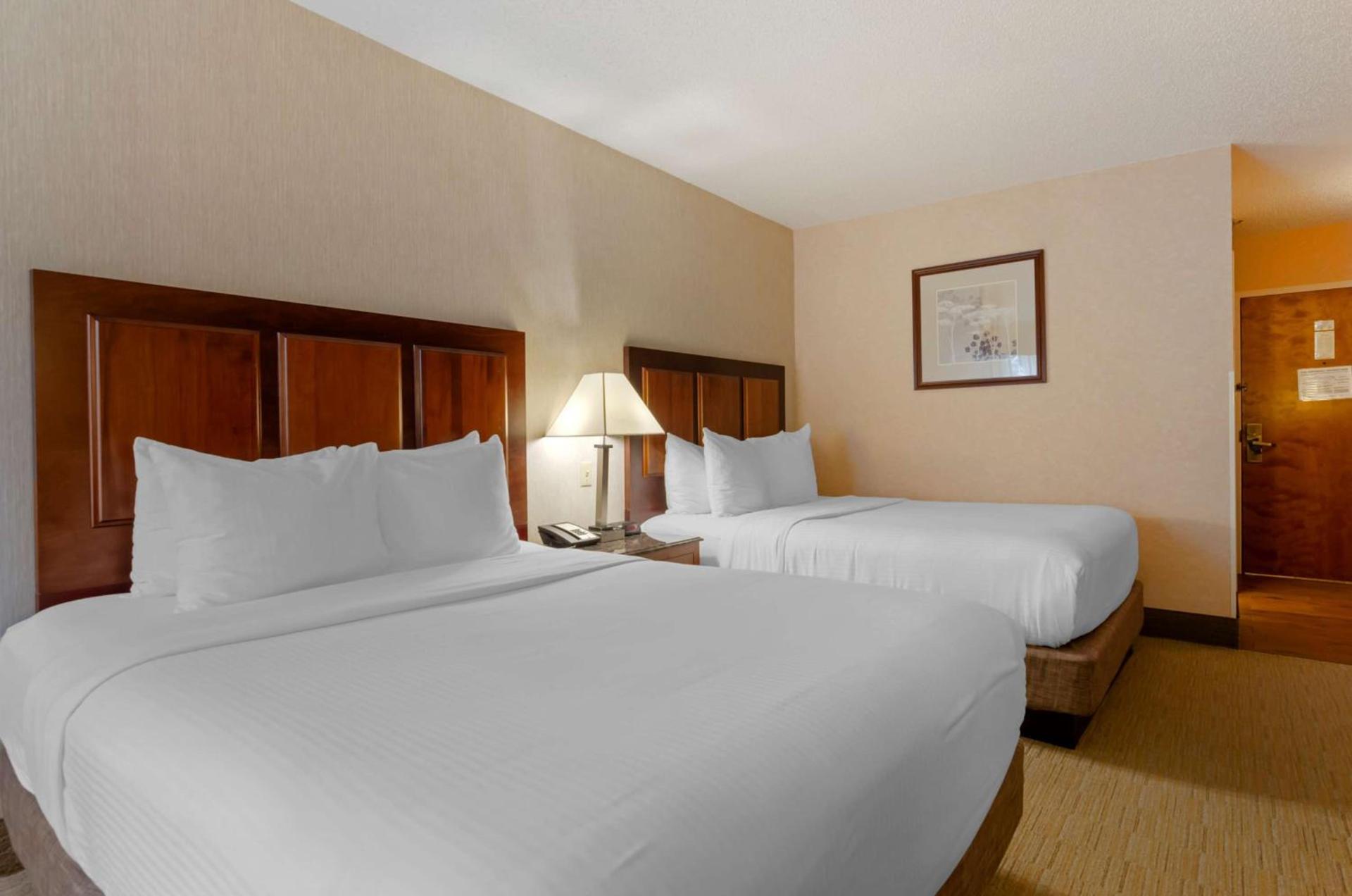 Spark By Hilton Staunton photo 6