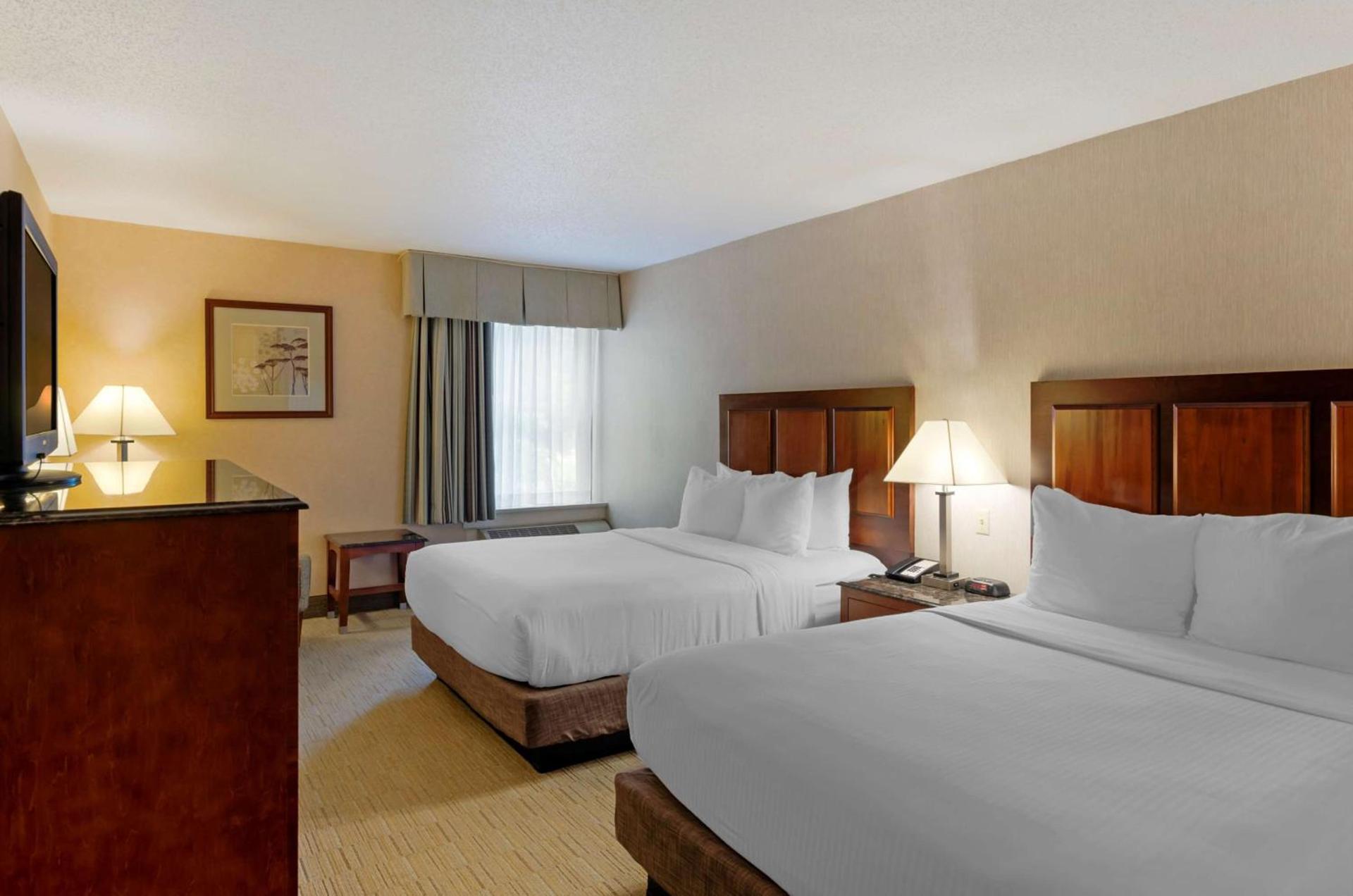 Spark By Hilton Staunton photo 16