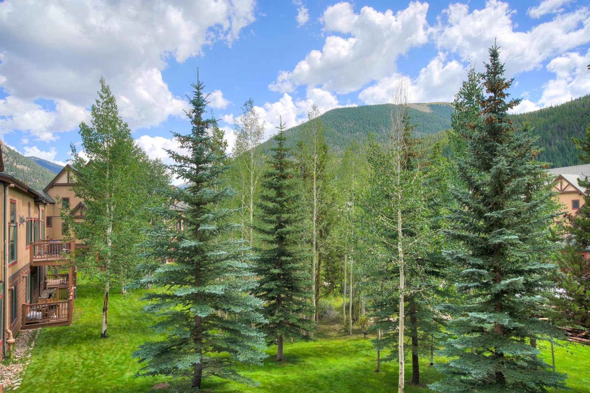 Red Hawk, A Vail Resorts Property photo 5