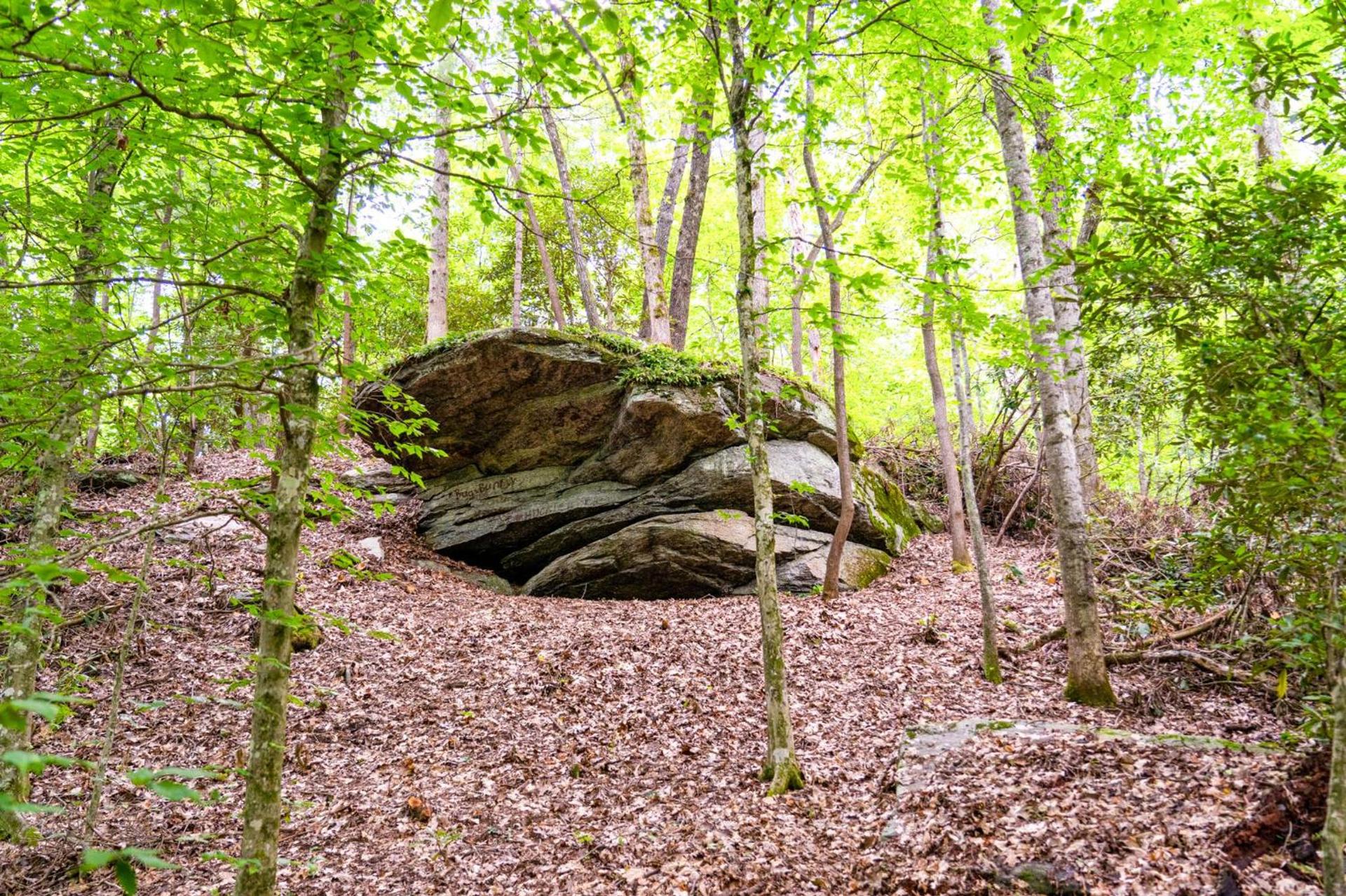 Foggy Bottom Cabins photo 13