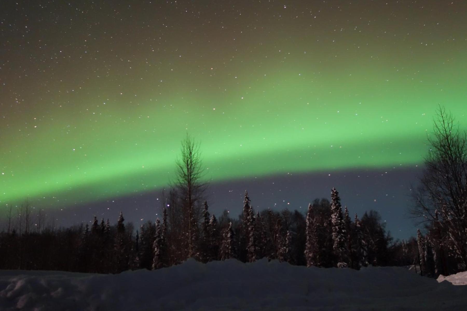 Backwoods Cabins at Susitna River Lodge photo 4