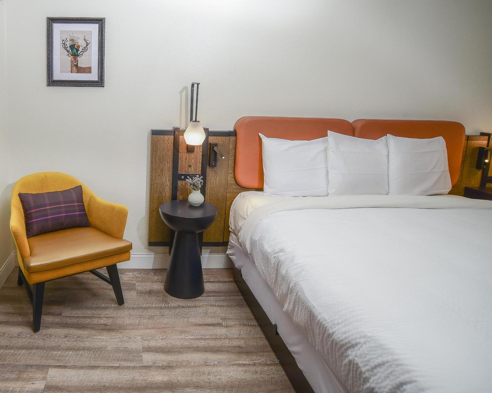 The Woodrose- NEWLY RENOVATED photo 8