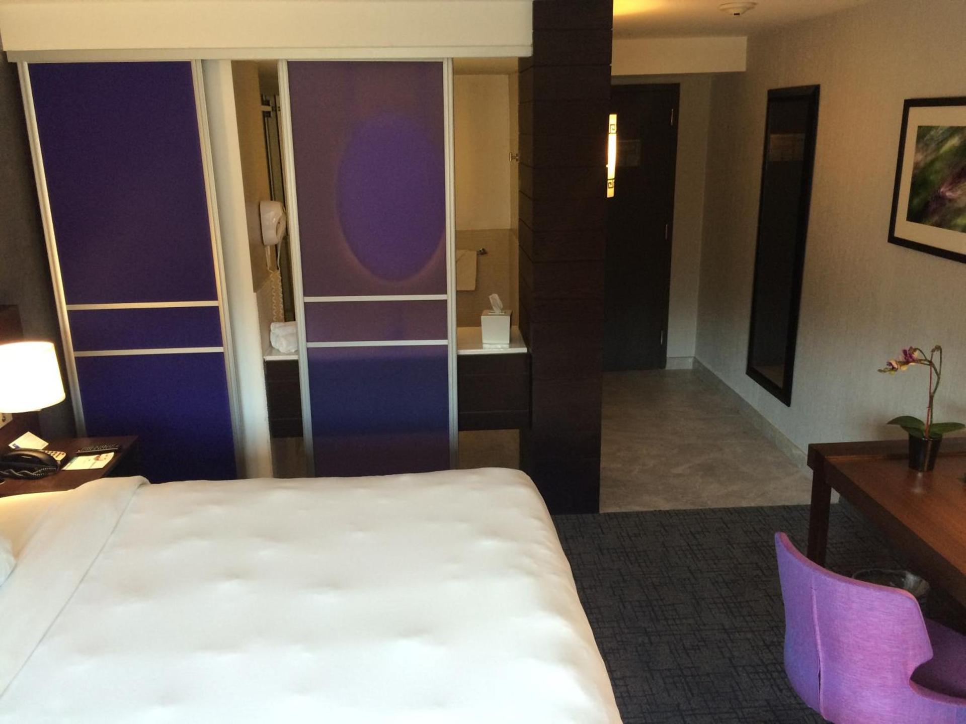 The Royal Regency Hotel photo 29