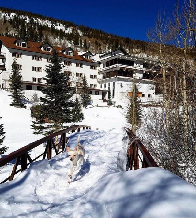 Monarch Mountain Lodge photo 29
