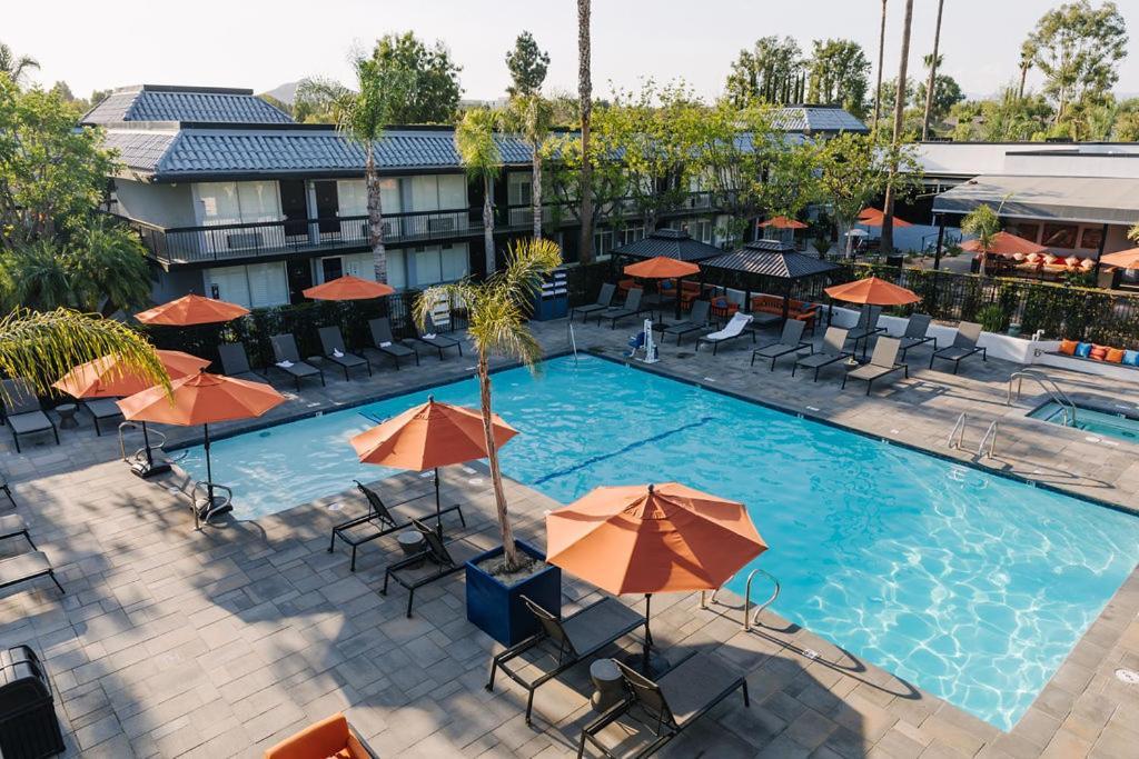 Palm Garden Hotel photo 35
