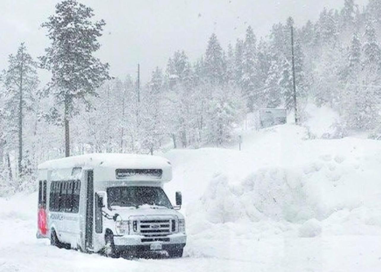 Monarch Mountain Lodge photo 32
