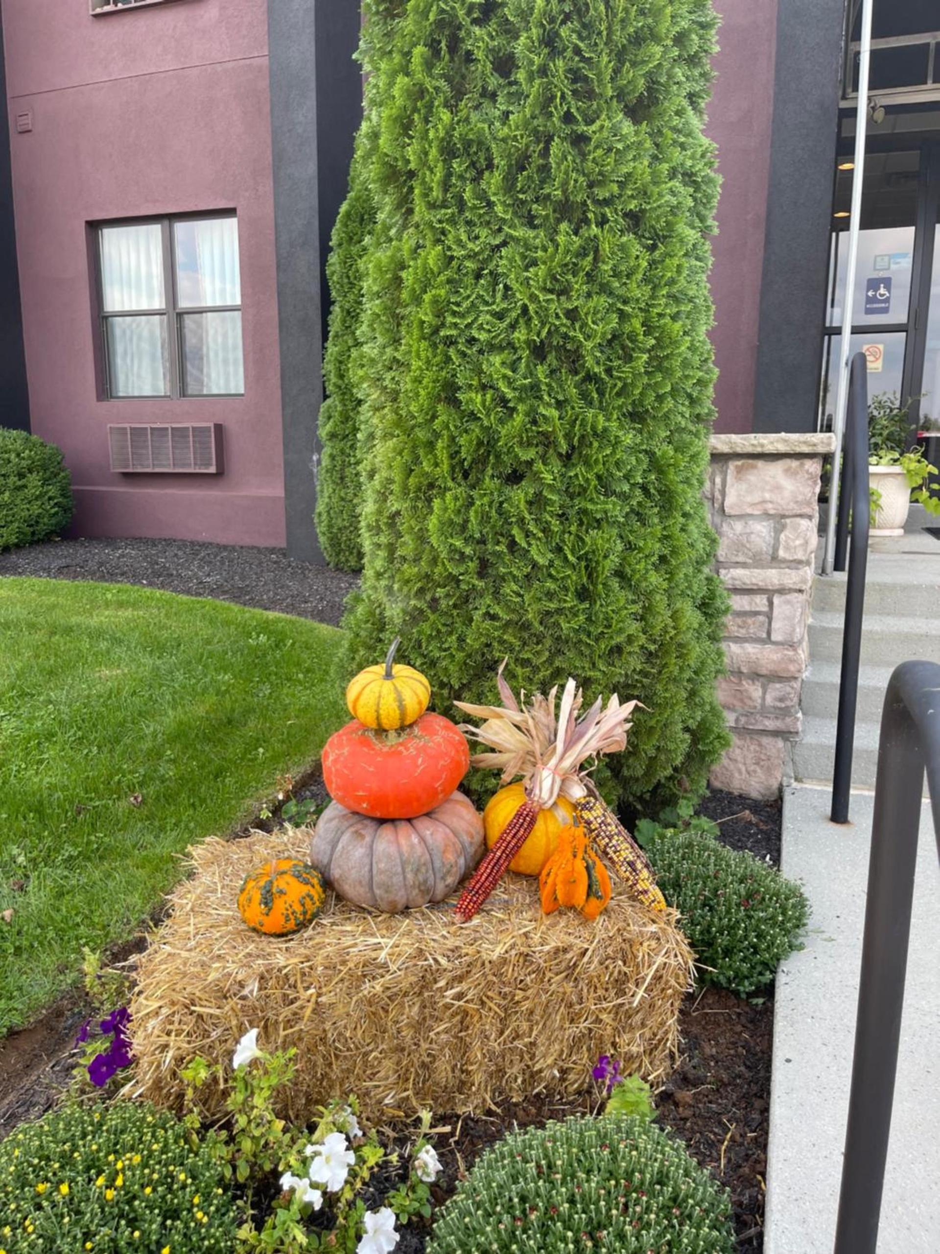 Brinton Suites photo 51