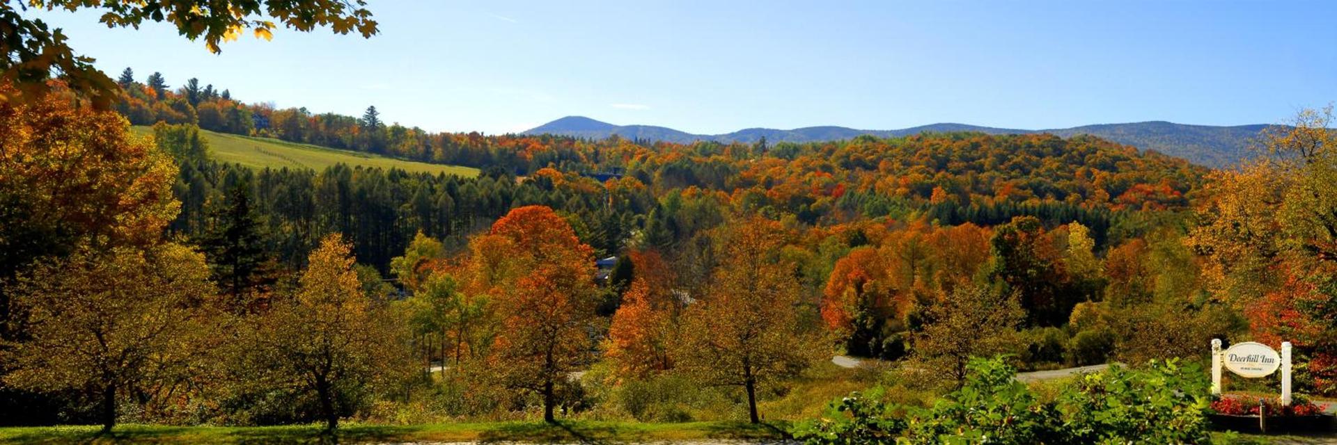 Deerhill Inn photo 5