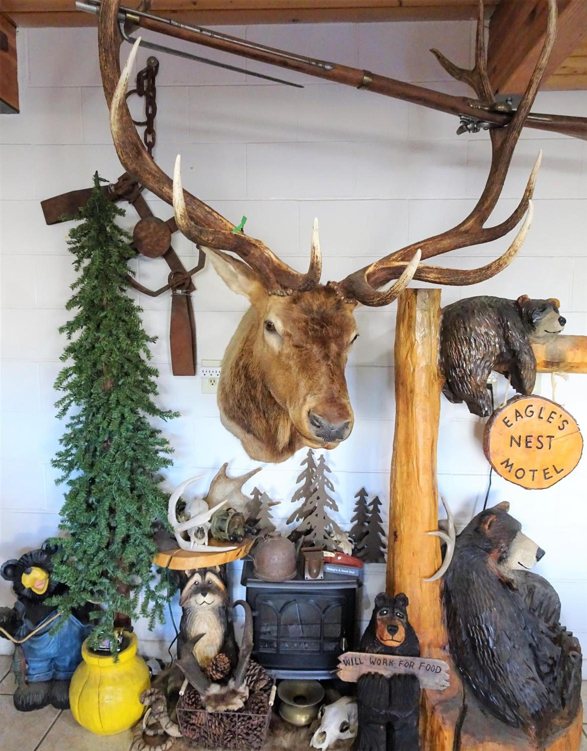Eagle's Nest Motel photo 22