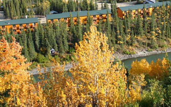 Denali Grizzly Bear Resort photo 27