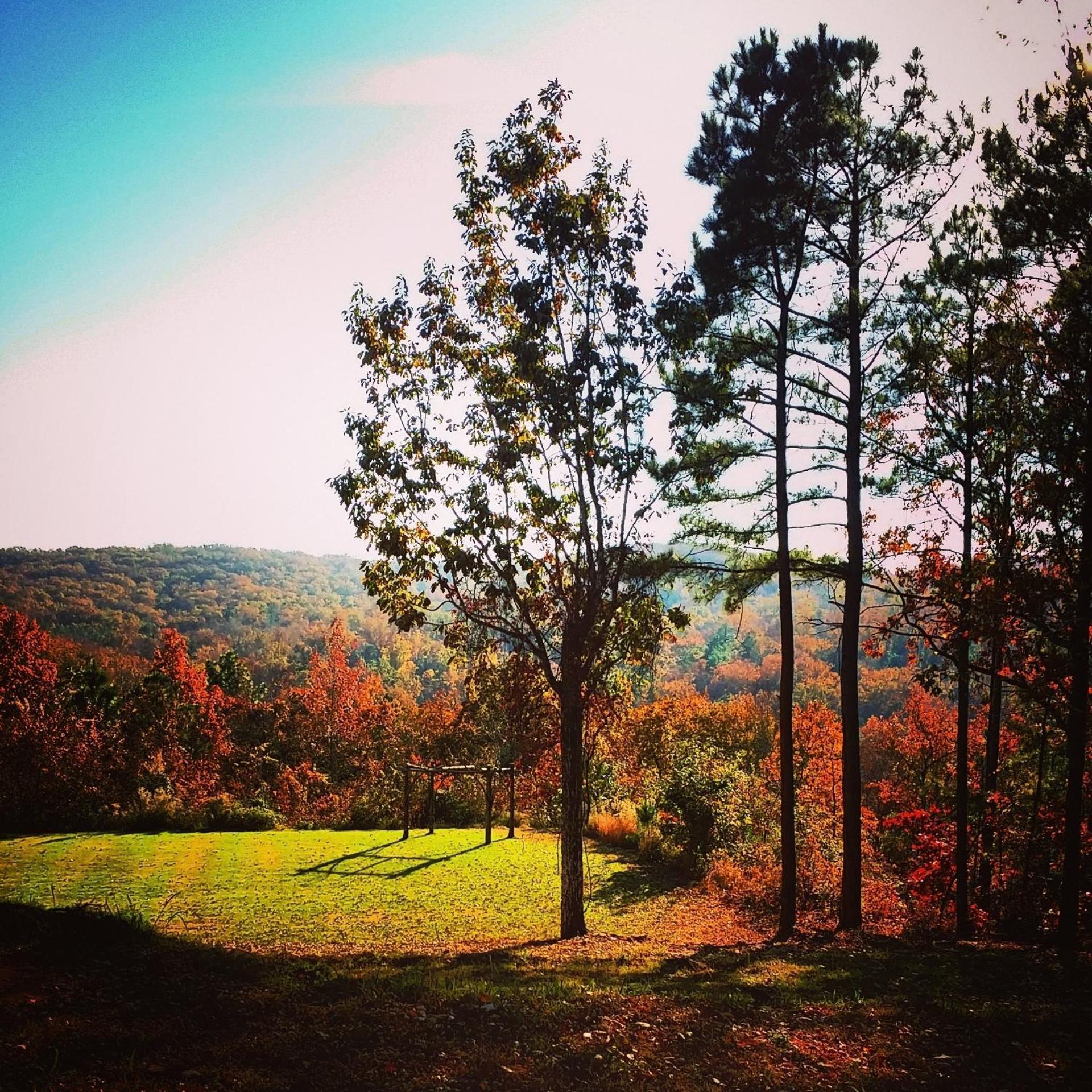 Mountain Top Inn and Resort photo 28