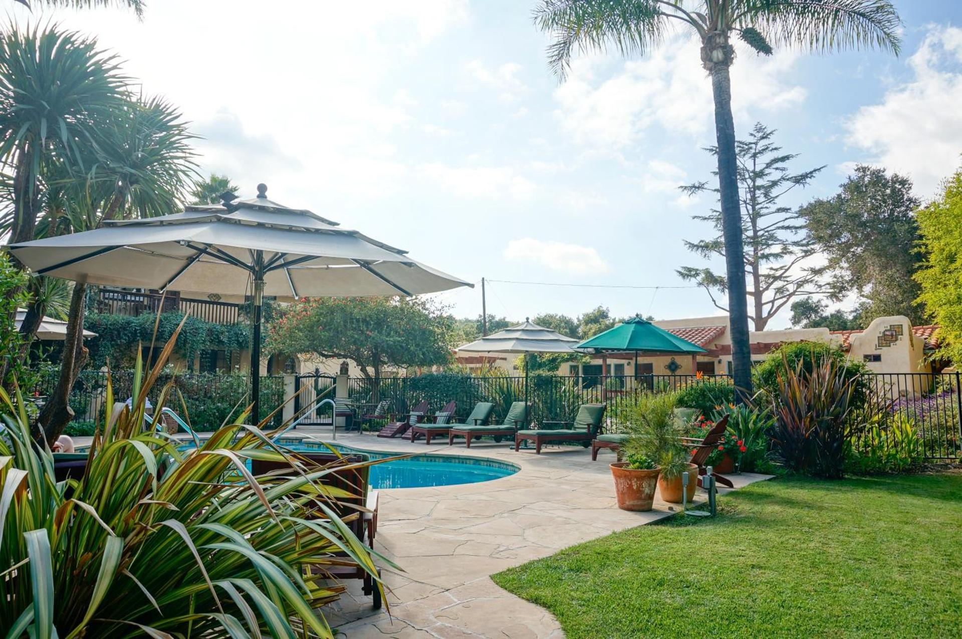 Blue Iguana Inn photo 7