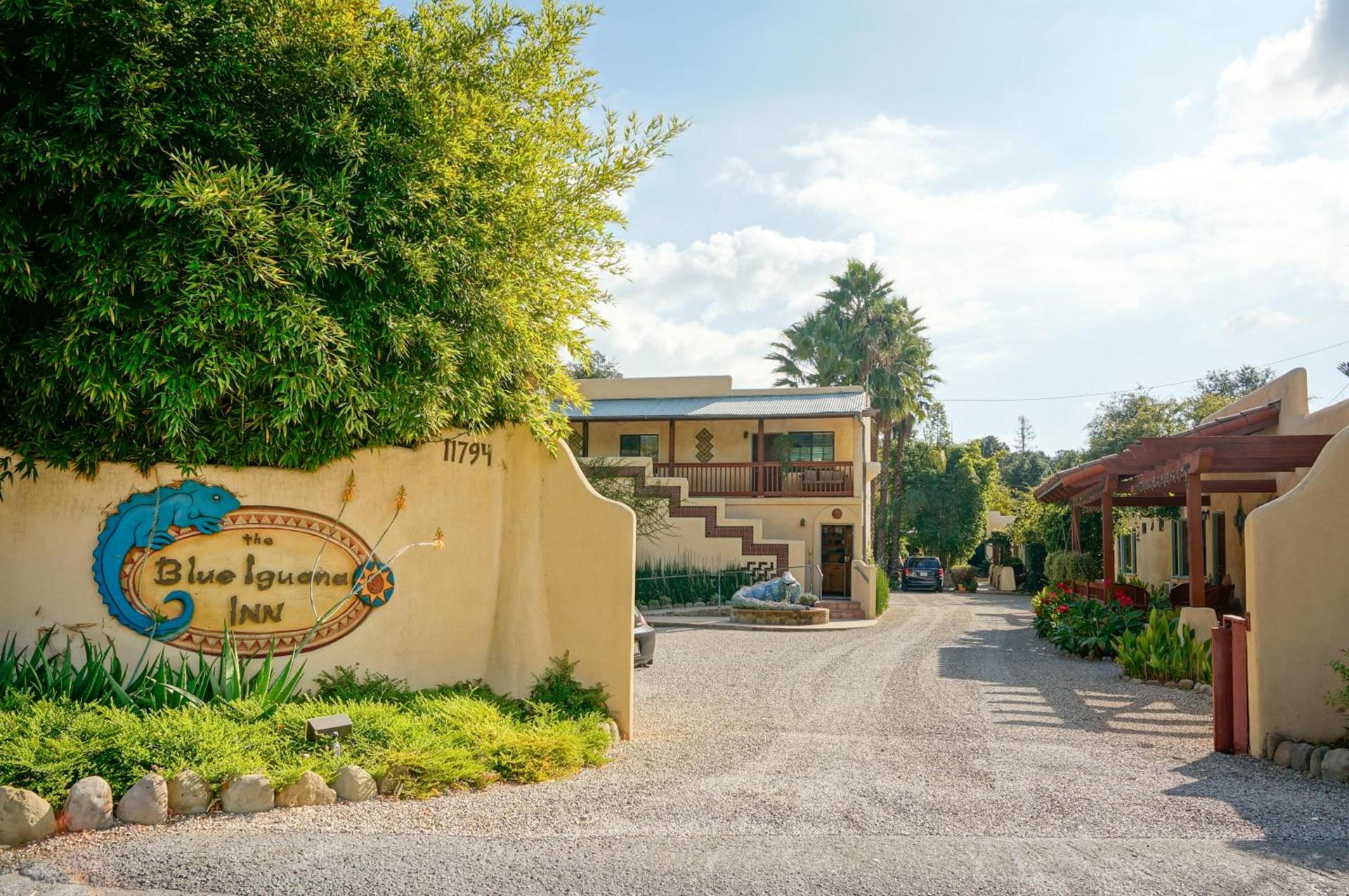 Blue Iguana Inn photo 12