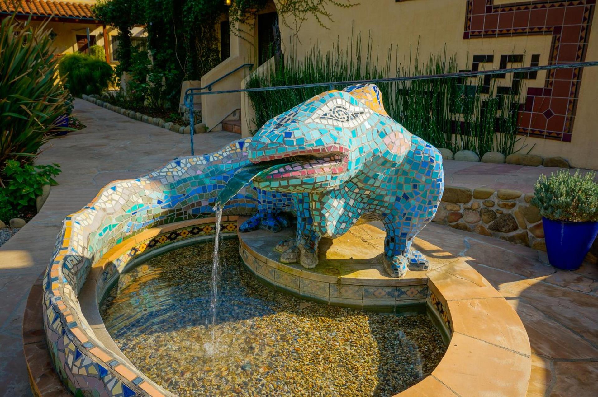Blue Iguana Inn photo 13