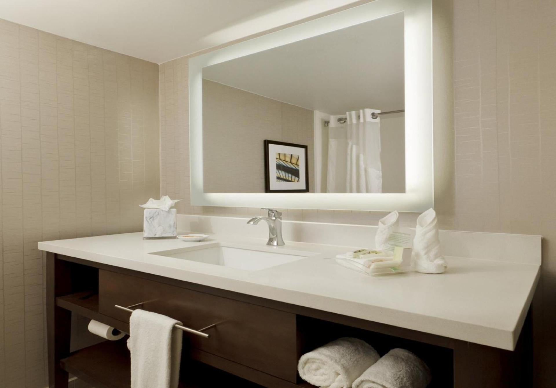 Holiday Inn San Antonio-Riverwalk by IHG photo 7