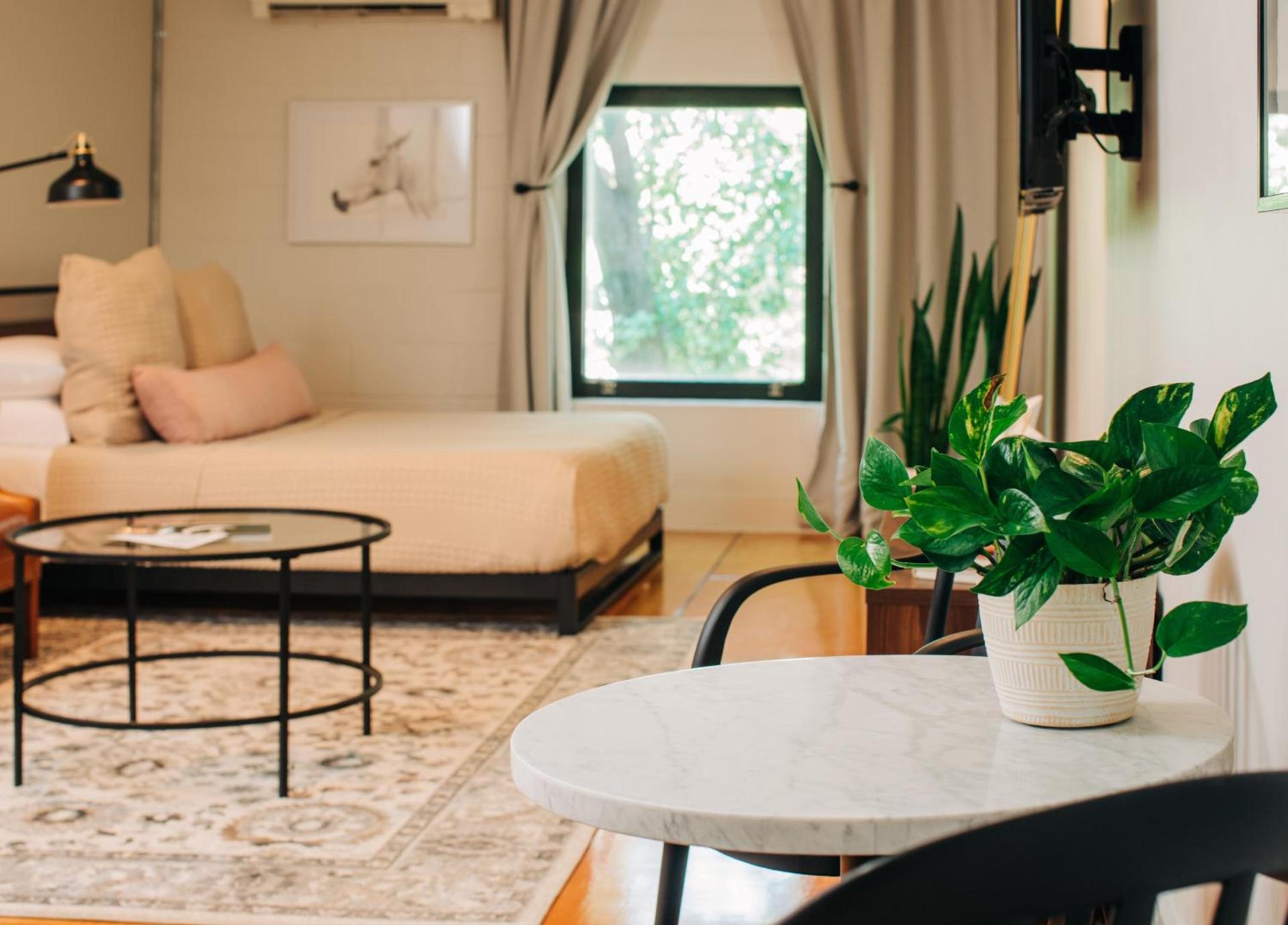 Stellar Suites photo 54