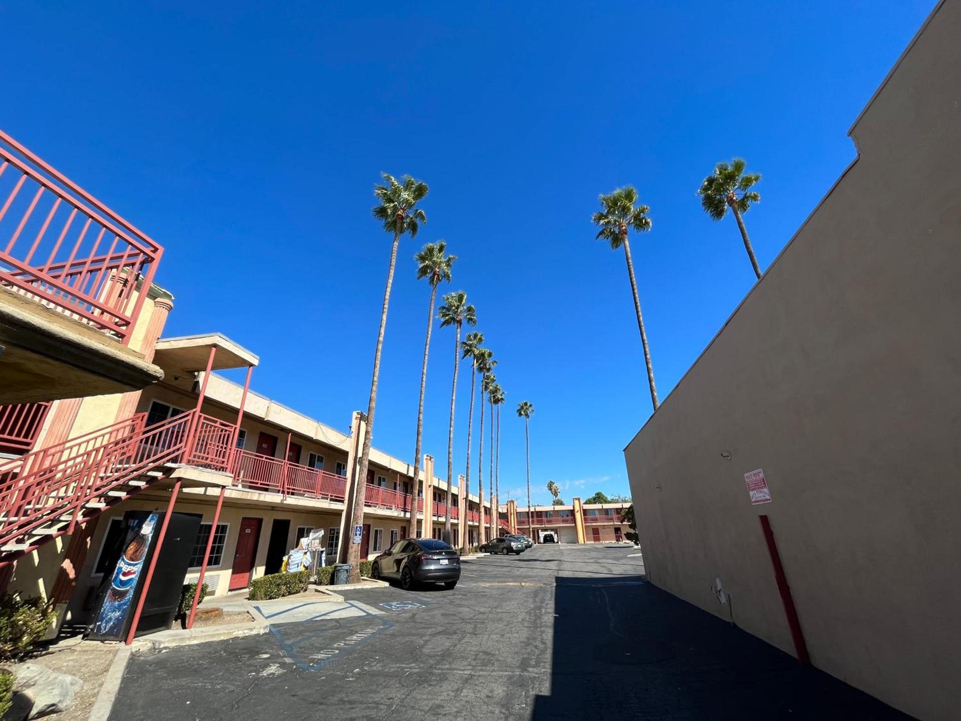 Palm Tree Inn photo 3