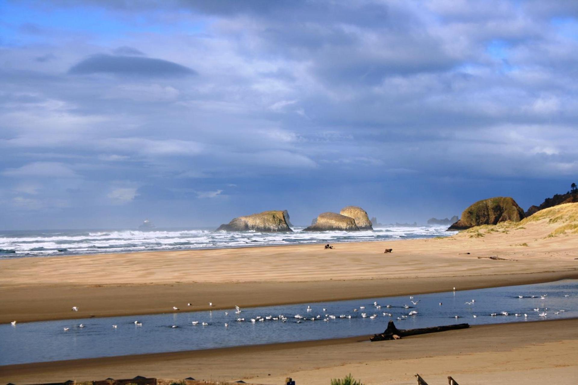 The Waves photo 32