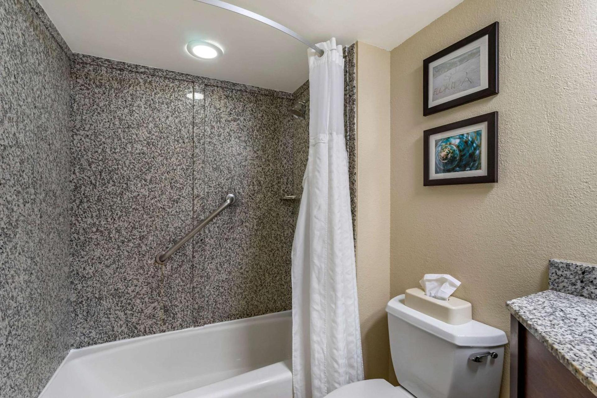 Comfort Inn & Suites St Pete - Clearwater International Airport photo 31