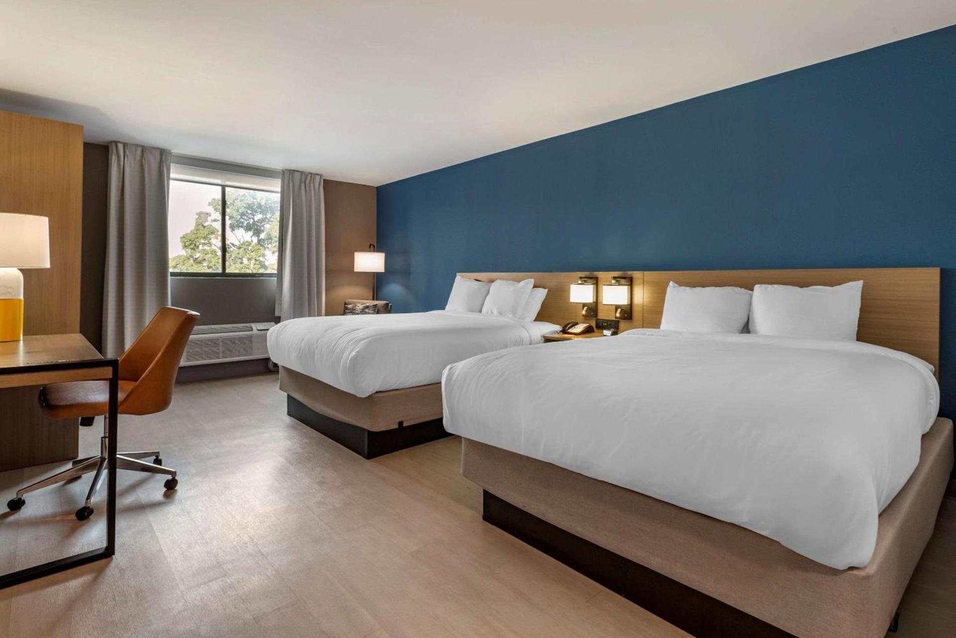 Comfort Inn Philadelphia International Airport West photo 11