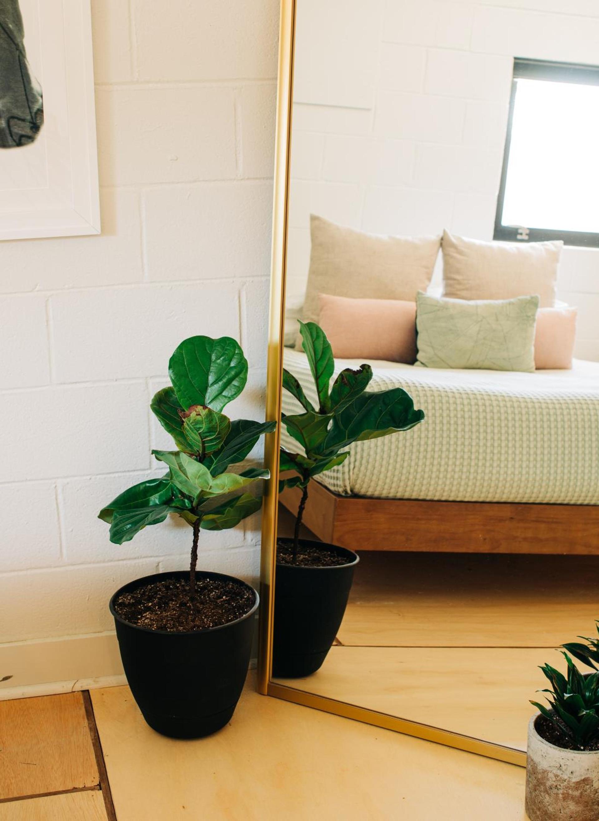 Stellar Suites photo 68