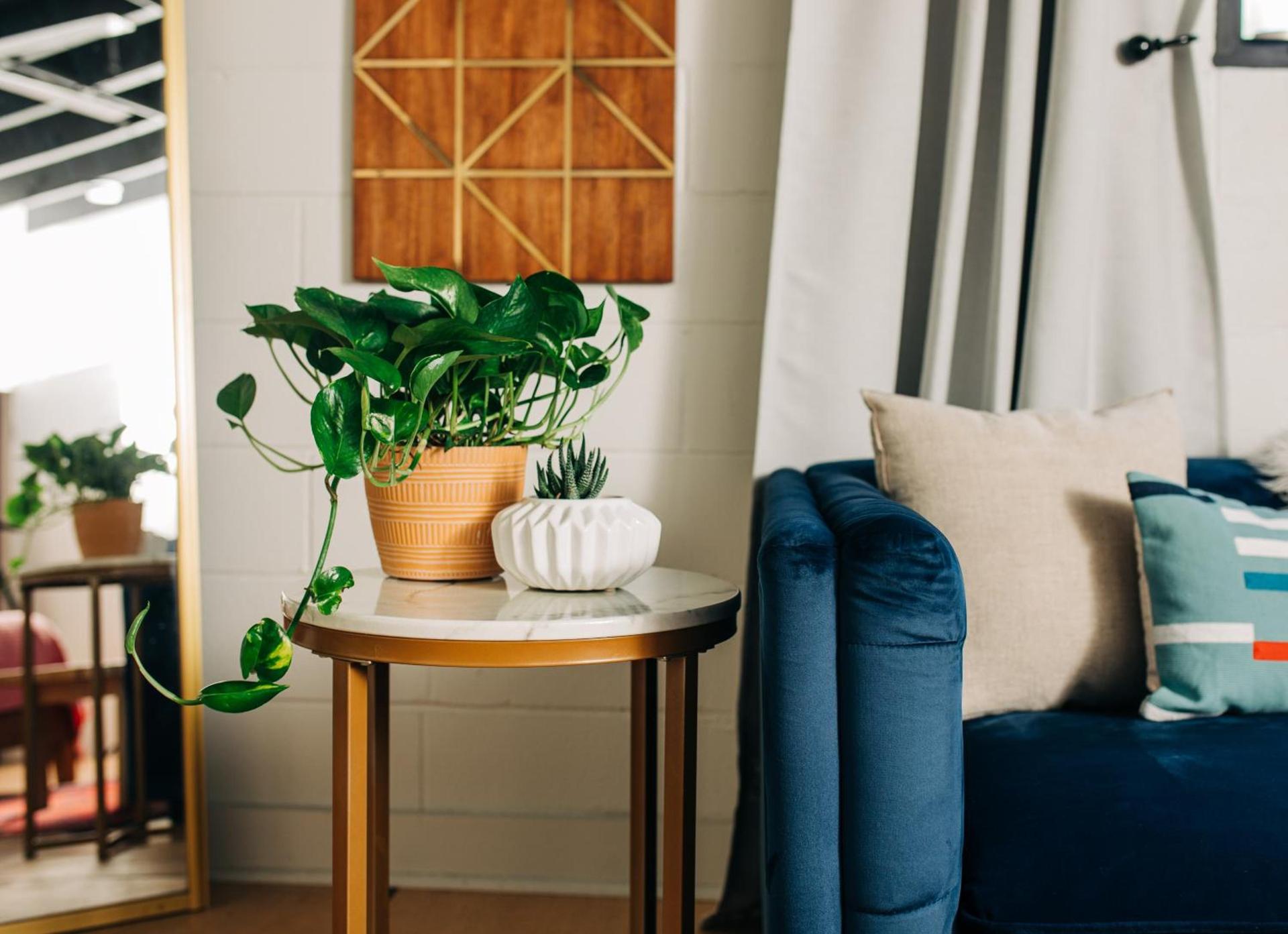 Stellar Suites photo 17