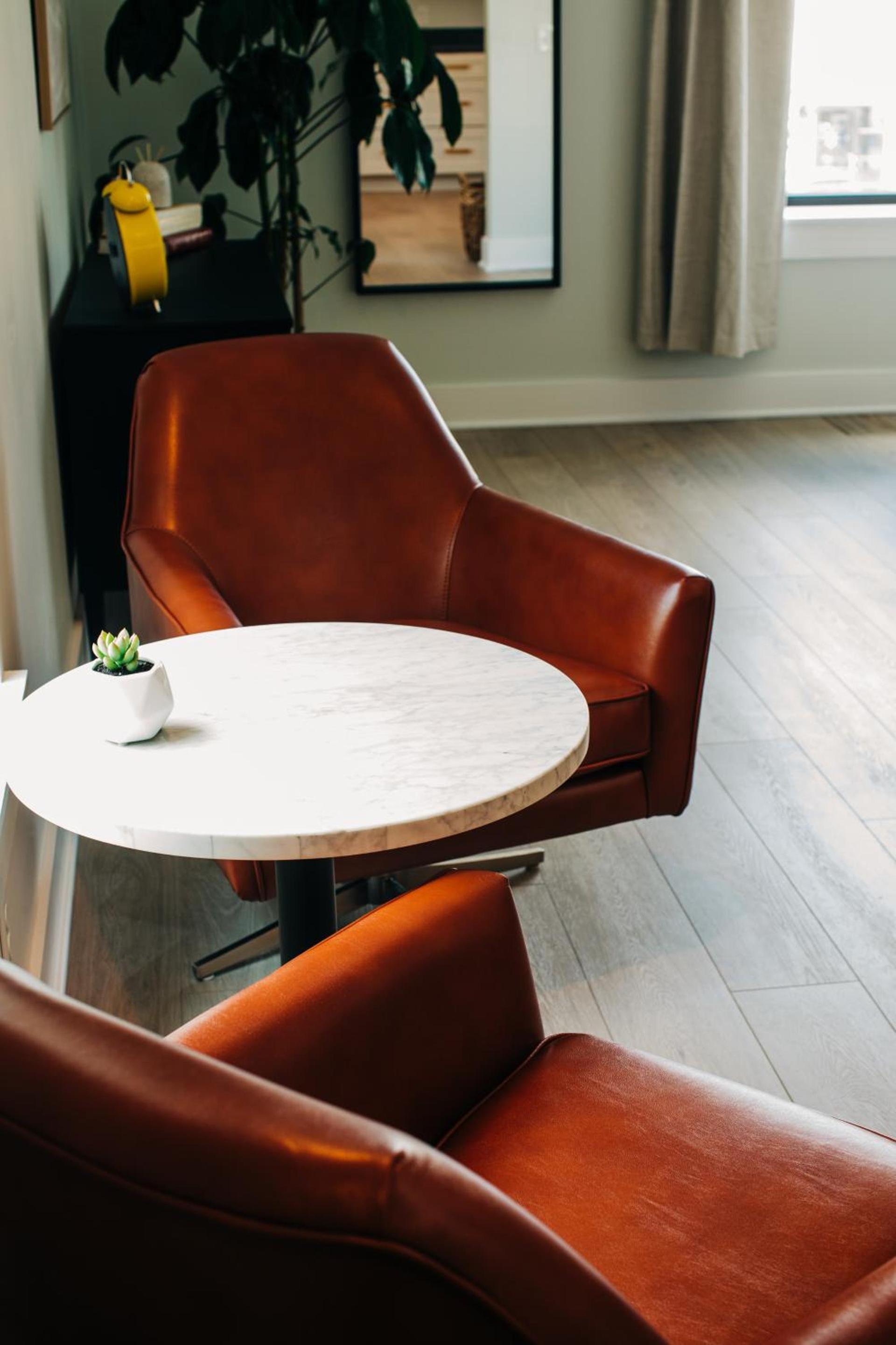 Stellar Suites photo 88