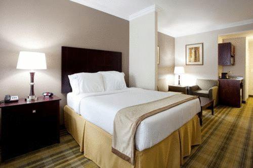 Holiday Inn Express & Suites - CUT OFF GALLIANO by IHG photo 8