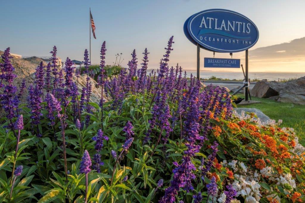 Atlantis Oceanfront Inn Gloucester photo 20