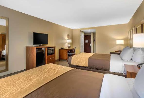 Comfort Inn & Suites Peachtree Corners - Norcross photo 6